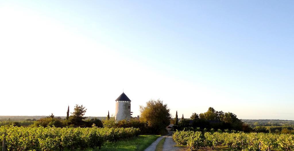 Moulin Géant Bed and Breakfast Rochefort-sur-Loire Exterior foto