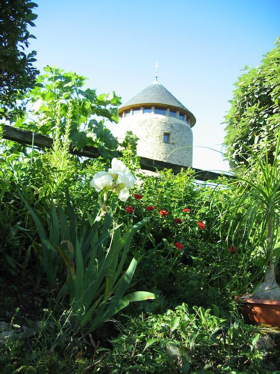 Moulin Géant Bed and Breakfast Rochefort-sur-Loire Exterior foto