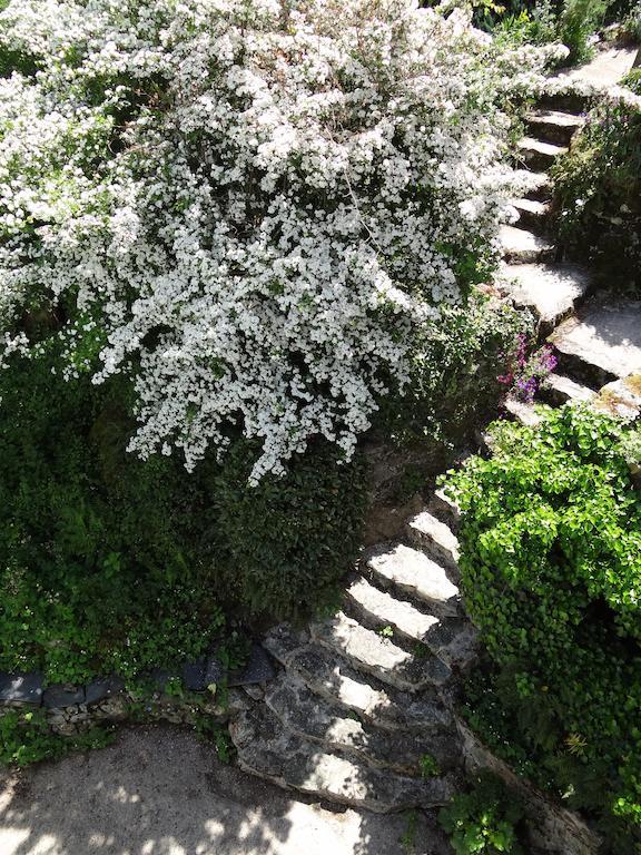 Moulin Géant Bed and Breakfast Rochefort-sur-Loire Exterior foto