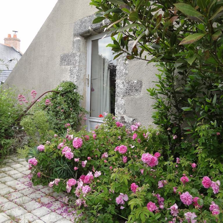 Moulin Géant Bed and Breakfast Rochefort-sur-Loire Habitación foto